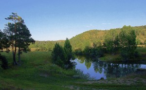Салаи́рский кряж — низкогорная возвышенность в Южной Сибири, расположенная на территории Алтайского края